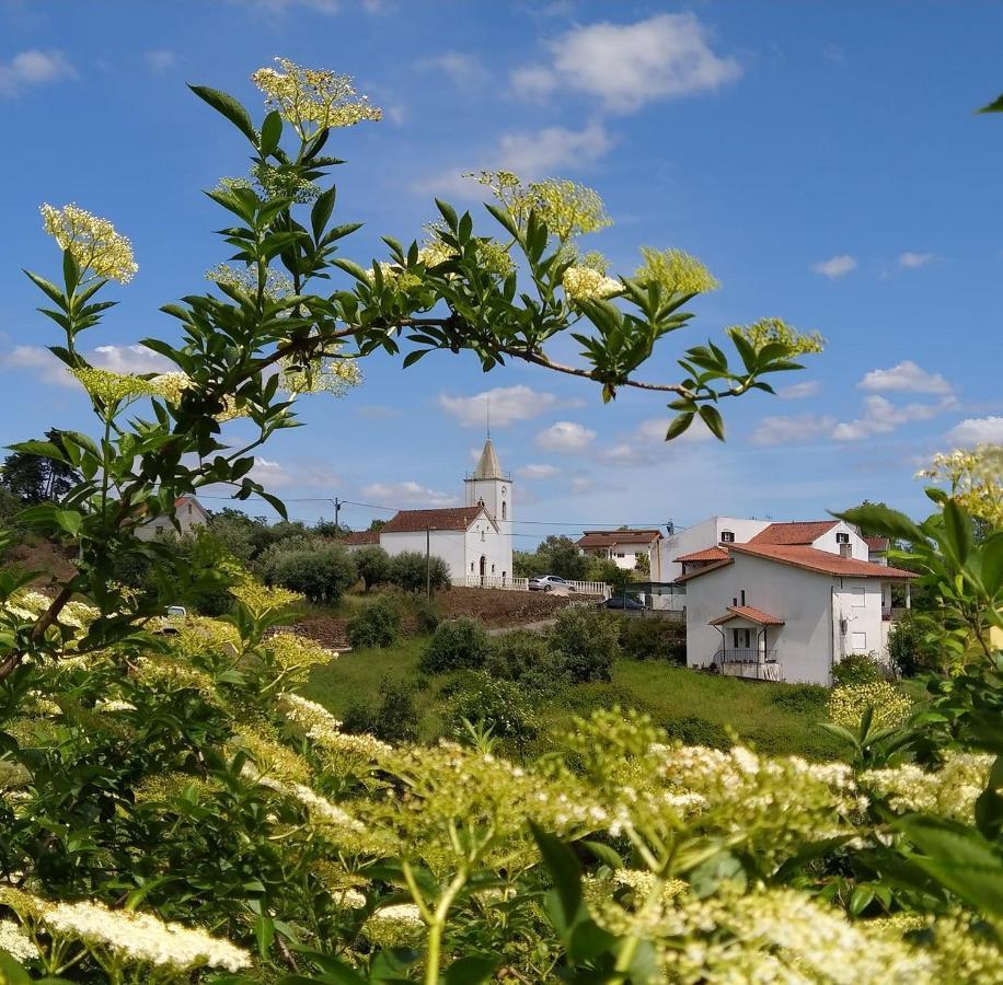 Casa Da Casimira Villa Миранда до Корво Екстериор снимка
